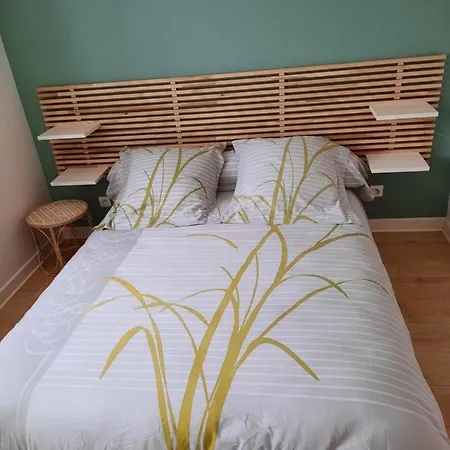 T2 De Caractere Apartment *